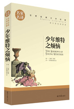 少年维特之烦恼 中文版  书籍 书 名家名译 世界经典文学