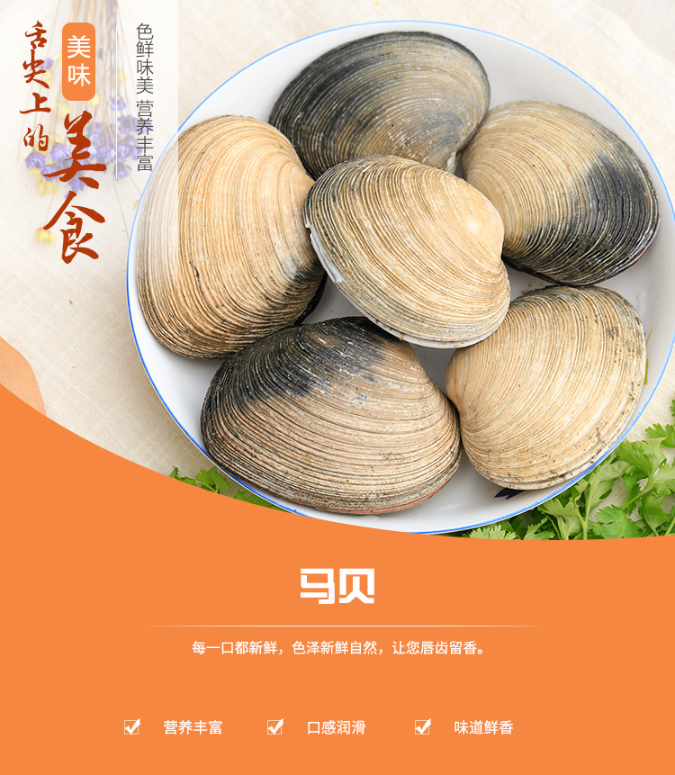 鲜活鲜美马贝 新鲜海鲜即食刺身日式料理水产品贝类批发