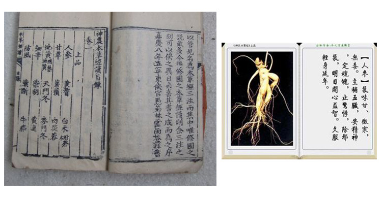 我有货源#-走进"人参之乡"—桓仁