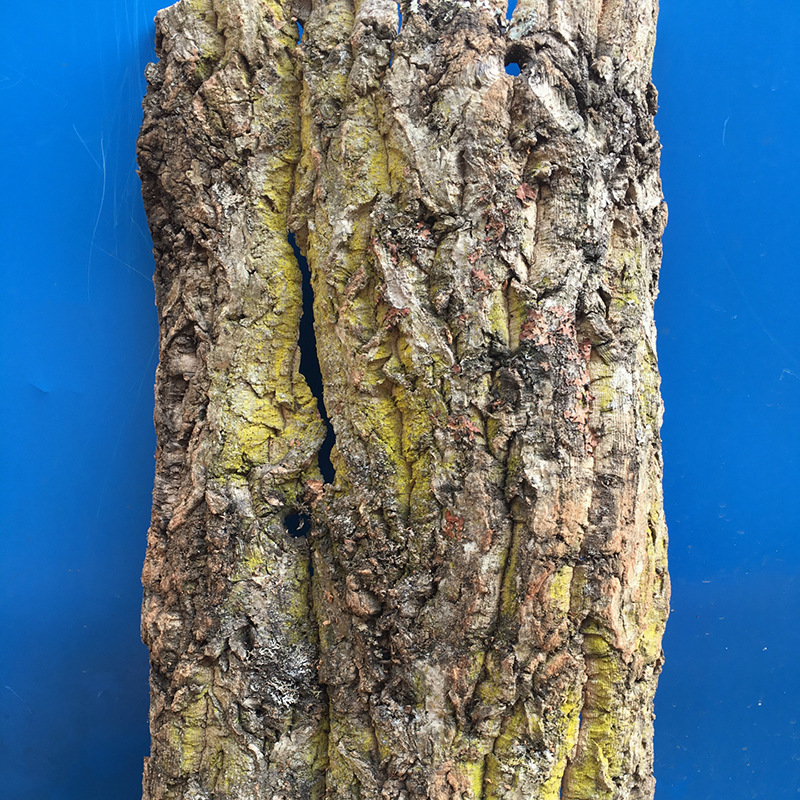 鱼缸水族造景装饰香槟木树皮雨林缸树皮背景板乌龟晒台多用批发