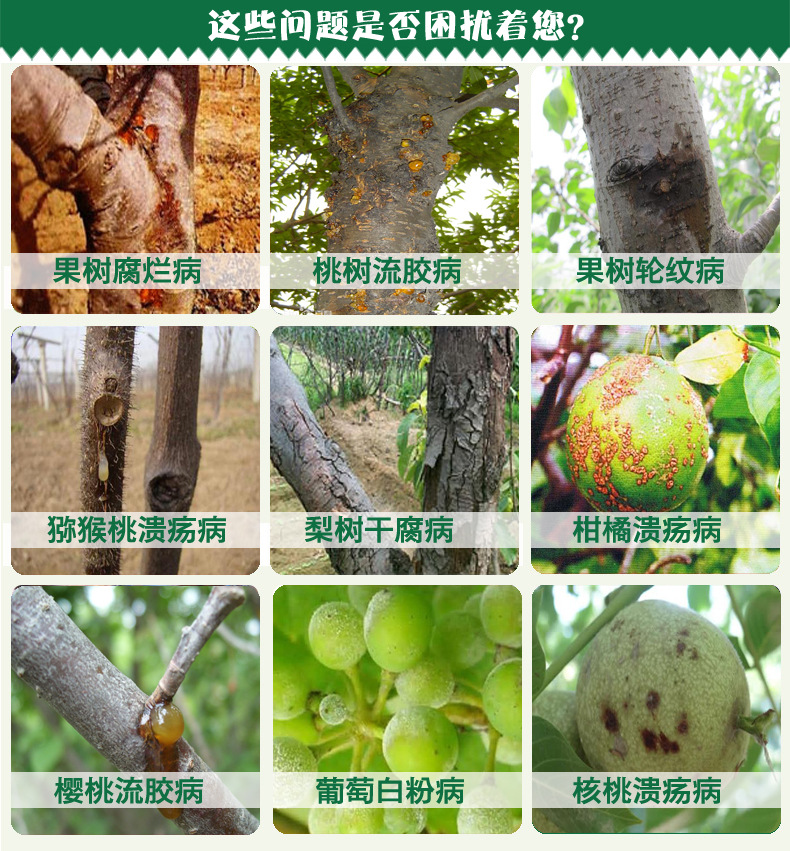 农药杀菌剂    一, 香蕉巴拿马病病害说明      香蕉黄叶病又名:香蕉