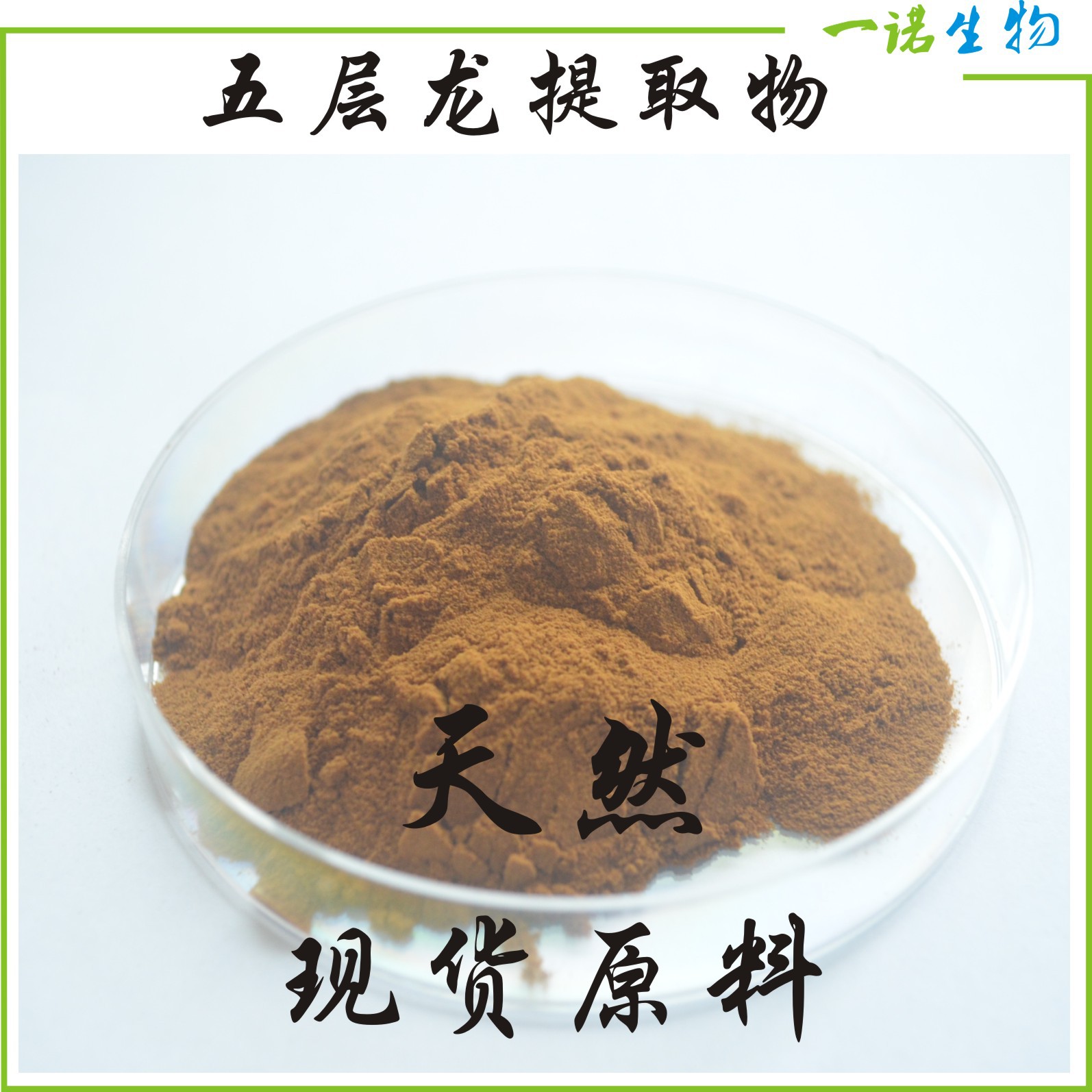 一诺生物 五层龙提取物 现货10:1网状五层龙提取物 厂家直销 包邮