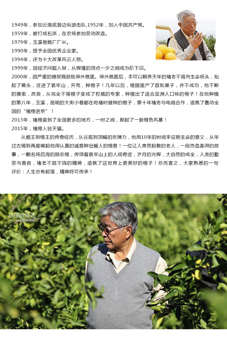 2016年褚橙 5kg m一级果 冰糖橙现货销售 一件代发