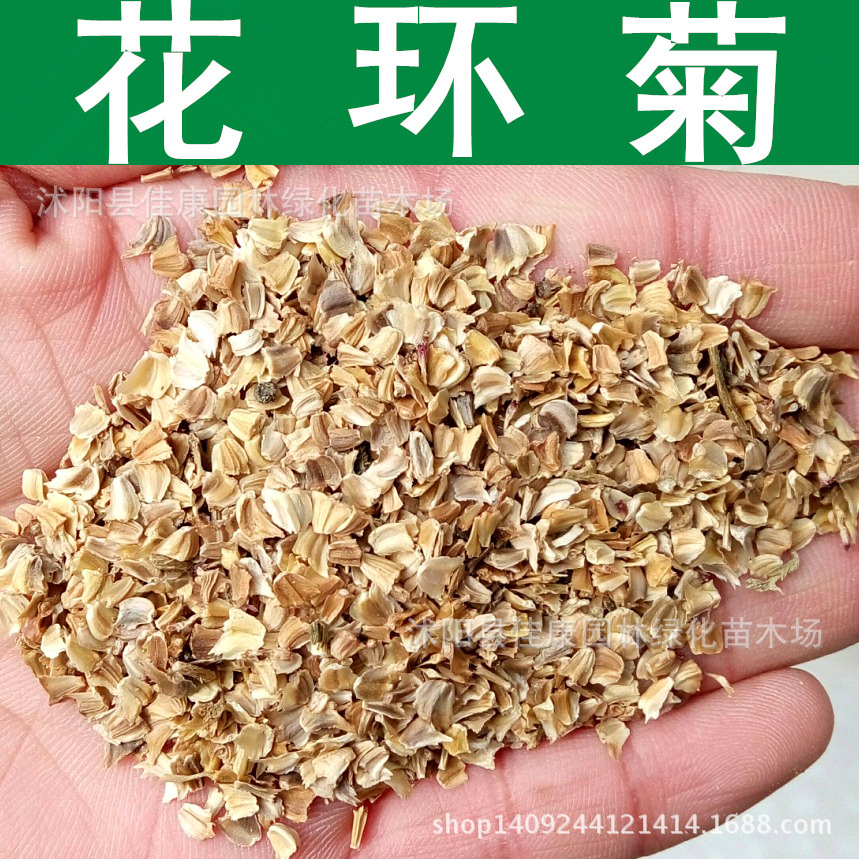 草花种子 花环菊种子 三色菊 花轮菊 彩虹菊花种子 1件=1斤