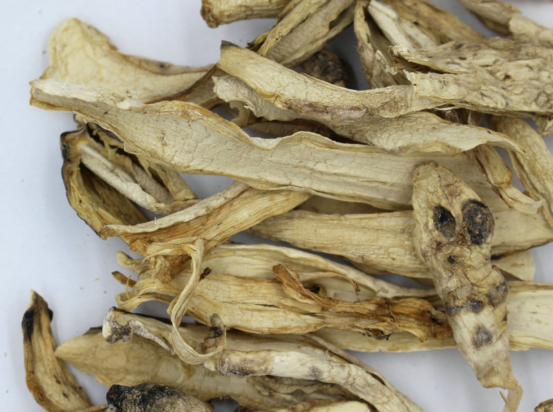 福建土特产 鸡腿菇长腿菇白菇无硫合作社种植干货鸡腿菇 散装批发