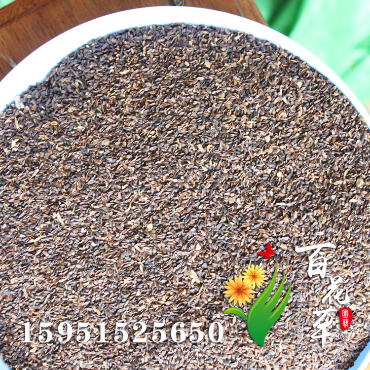 桔梗桔梗花卉种子药材种子 包袱花种子洋桔梗种 阳台种植基地.