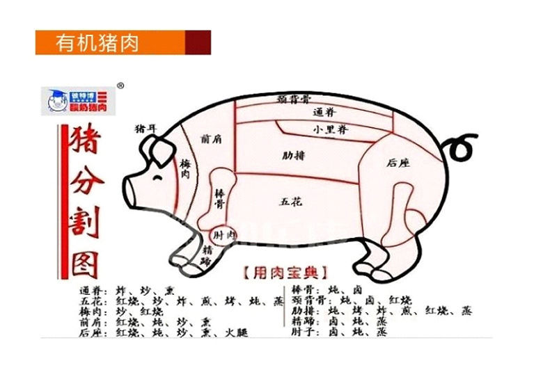 厂家推荐 猪分割肉猪蹄猪尾火腿肉 冷冻生猪肉猪副产品
