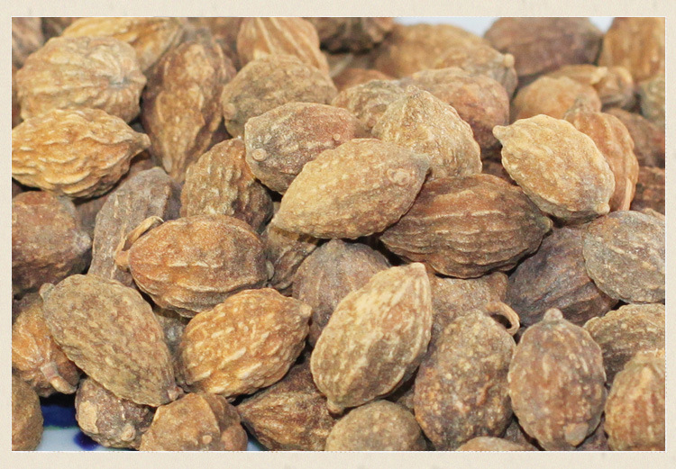 厂家直销 中药材益智仁 益智 无硫干净 品种齐全 产地直销