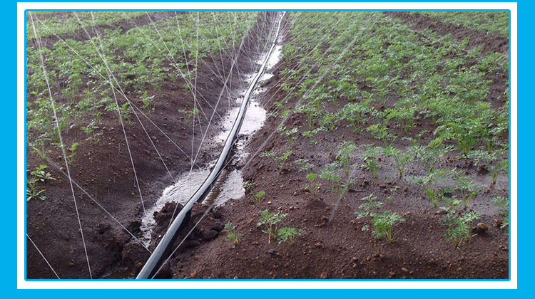 1寸-3寸黑色农用水带滴灌微喷带节水喷灌带软管园林绿化节水灌溉