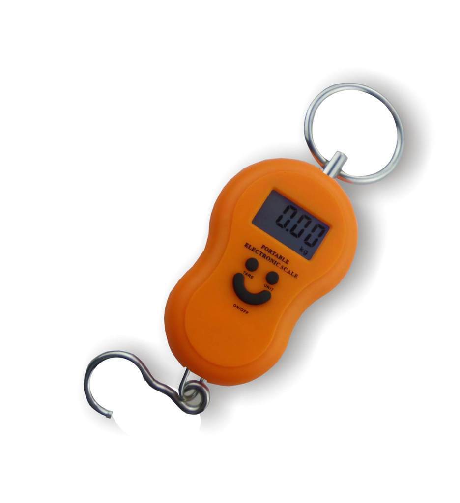 深圳厂家供应奥又美as-ls01电子秤 手提秤 小货物专用拉力秤