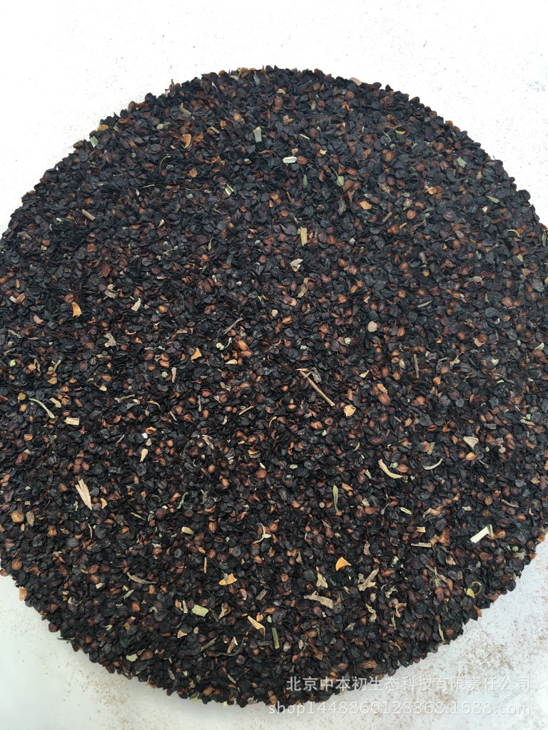 花种子紫松果菊多年生批发量大价优