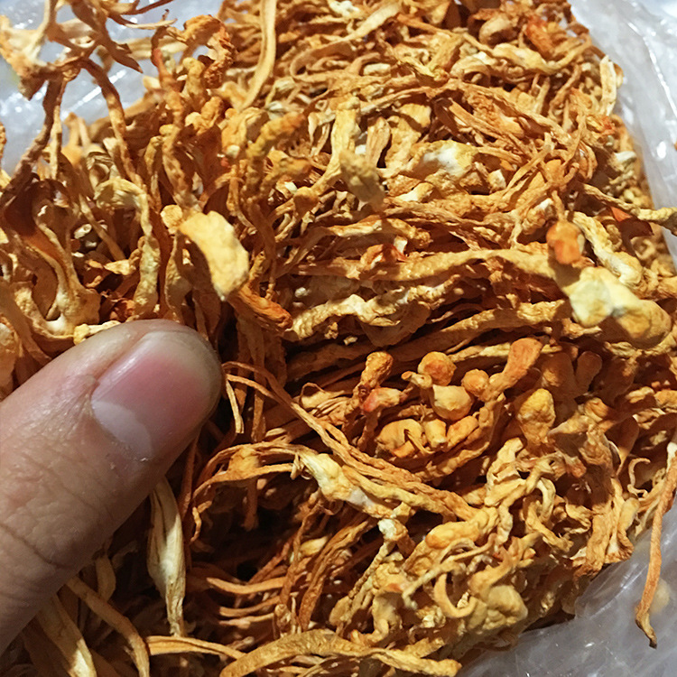 津鸣特级虫草花孢子头北虫草金虫草汤蛹虫草干货批发特价500g
