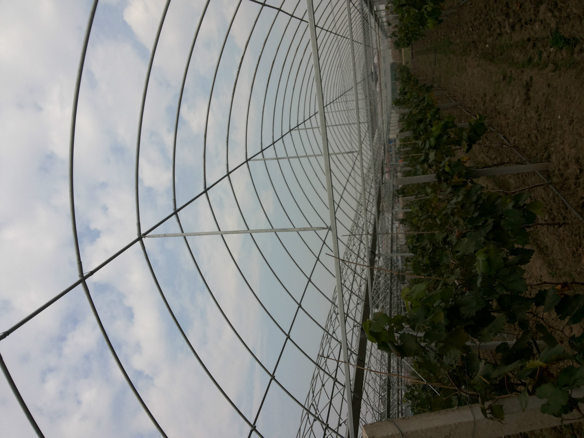 简易拱棚大棚骨架镀锌钢管大棚骨架蔬菜大棚温室大棚