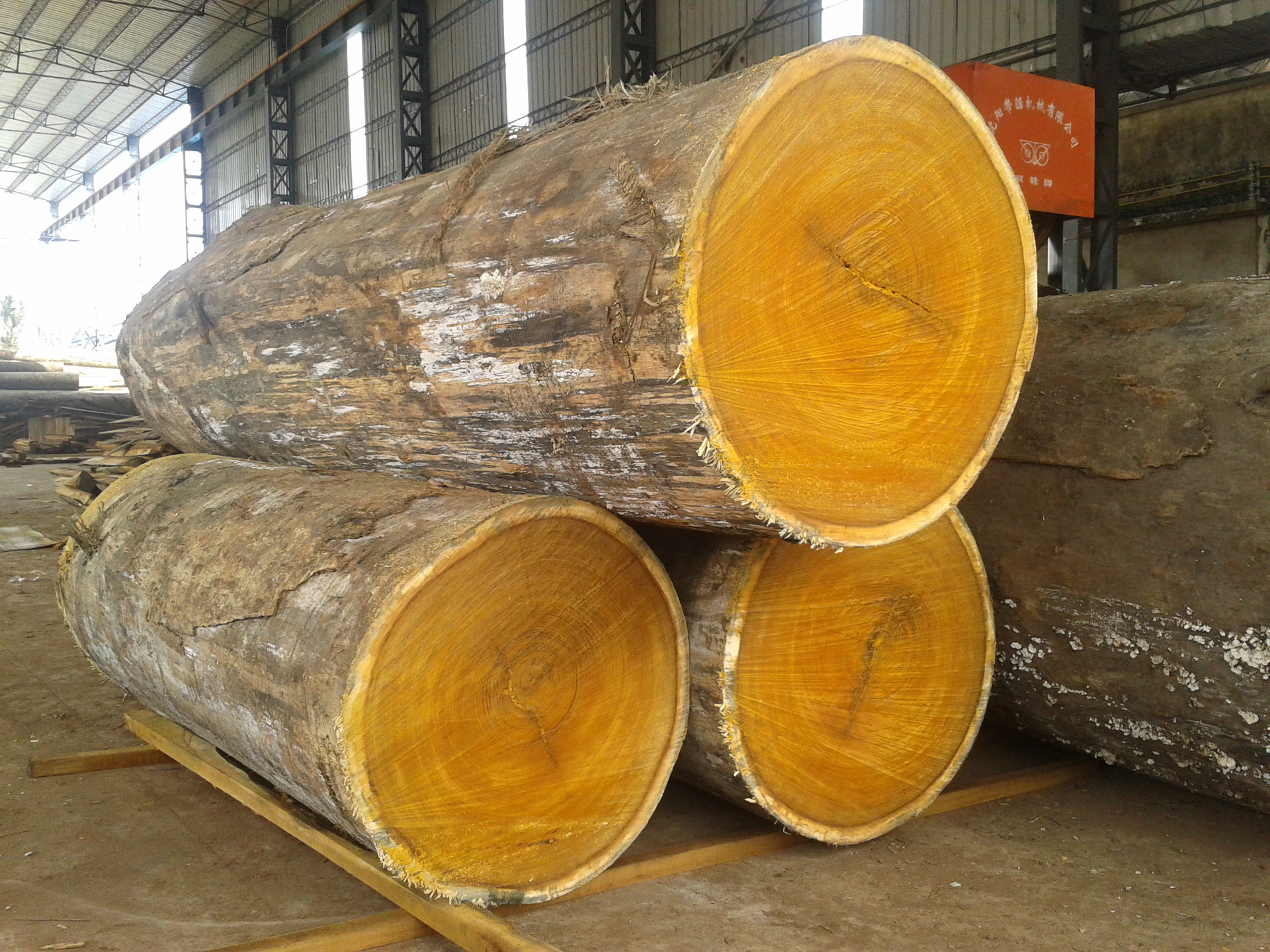 供应直径60~80cm东南亚菠萝格原木 木板 板材,价钱便宜