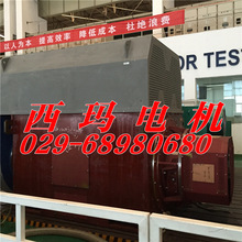 YKS4509-4 900KW/IP55/6KV西玛牌/高压电机检修