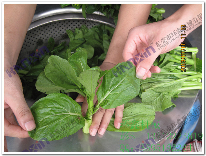 品质卓越, 规格齐全 售后完善环鑫蘑菇菜馅脱水机 蔬菜级的脱水机