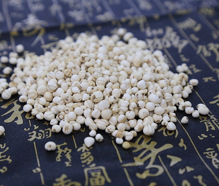 【盛世堂】批发正宗纯天然野生川贝母 珍珠贝 松贝 怀中抱月