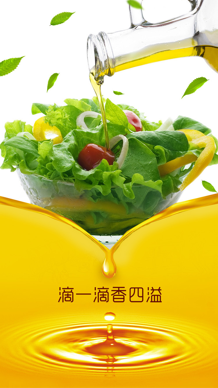 润心山茶油3.79l 欧盟技术物理冷压榨 非转基因有机油茶籽油