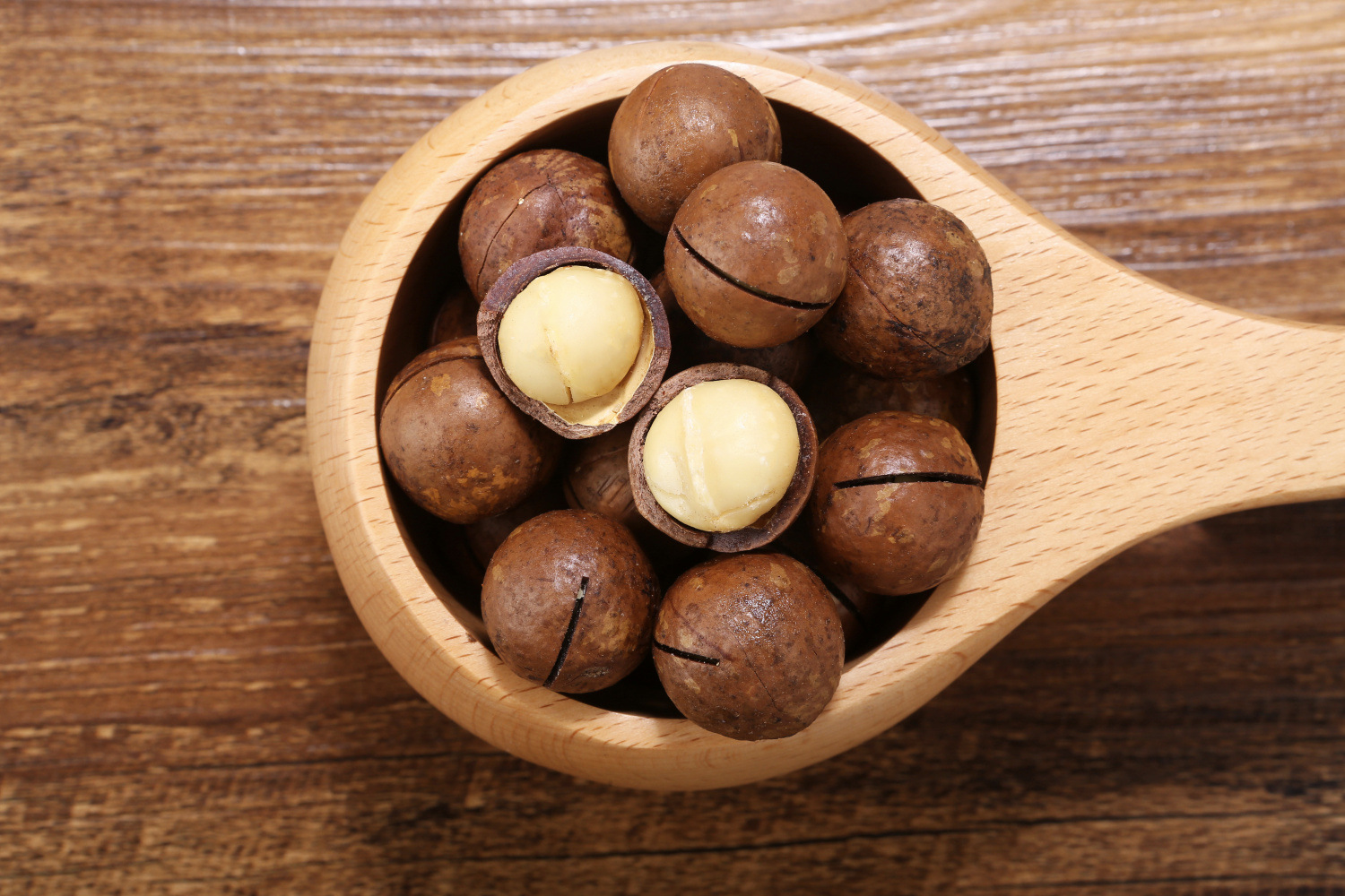 休闲食品_休闲食品坚果奶油夏威夷果夏果送开口器250g