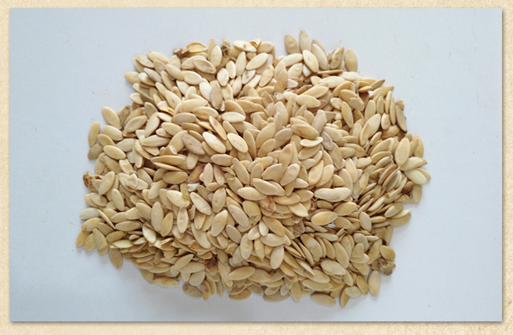 批发黄瓜籽 厂家供应东北中药材 今年新货 **咽喉肿痛低价批发-红小豆