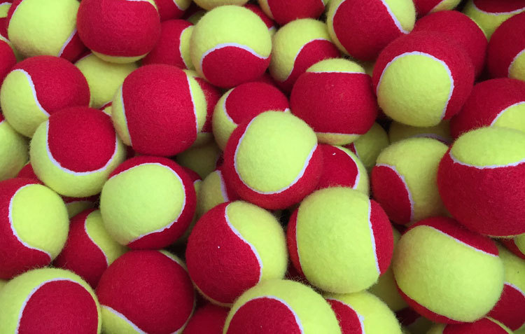 国际高标准 儿童软式过渡网球 75red大红球 短式训练网球 无球标