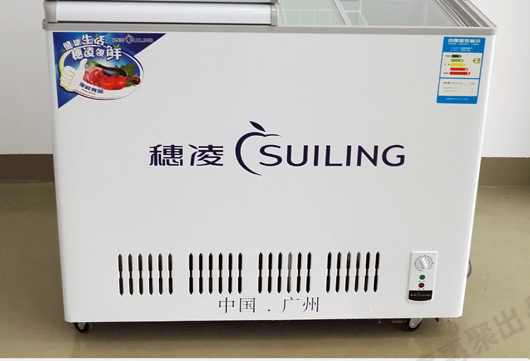 穗凌bd-299商用卧式冷柜冰柜双门单