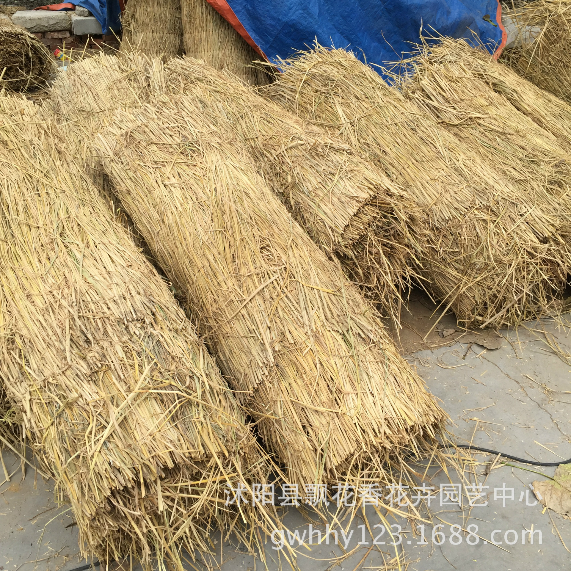 批发稻草帘 草帘子草苫子草帘草席公路养护冬季大棚保温草垛草堆