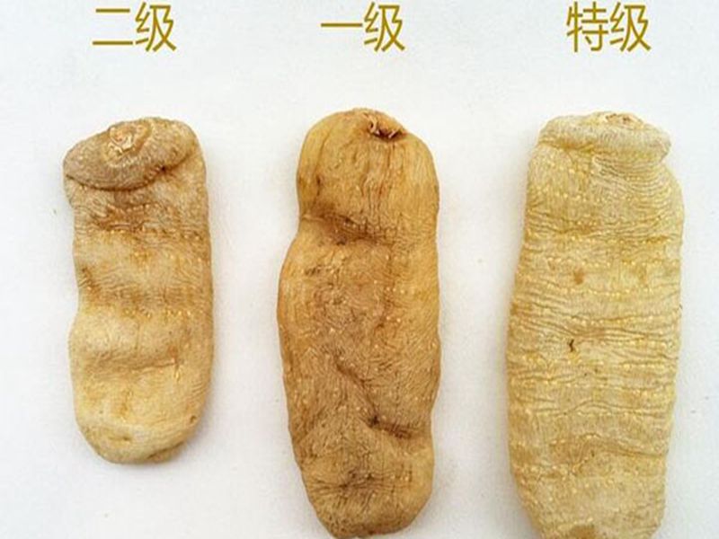 中药材批发 云南野生天麻 本色天麻
