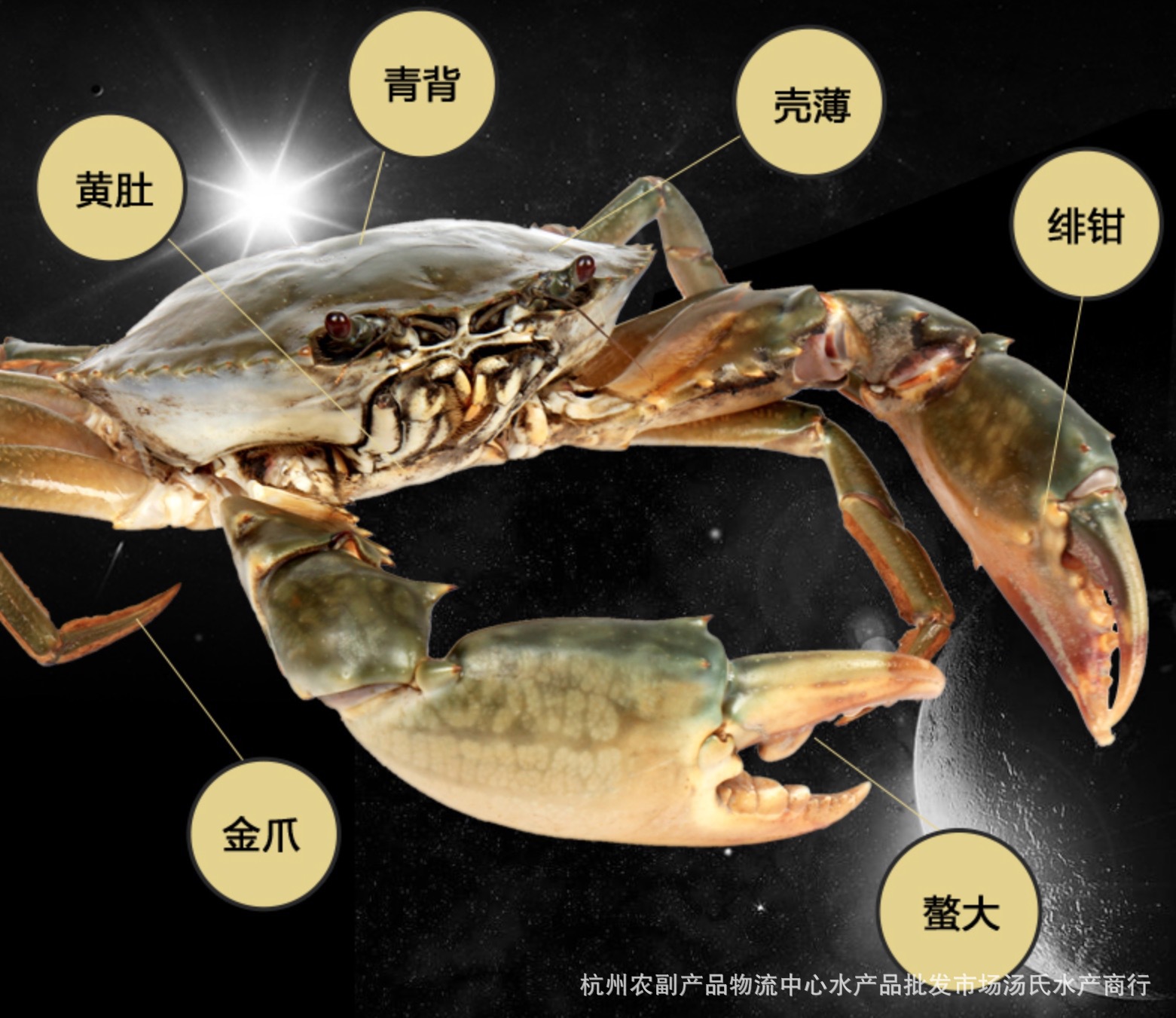 加工冷藏无壳肉蟹 肉蟹煲** 螃蟹 越南蟹 大闸蟹 螃蟹.