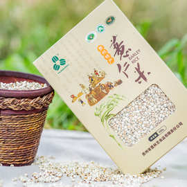 源产地贵州小薏米新鲜糯真空包装薏仁米五谷杂粮薏苡仁现货批发