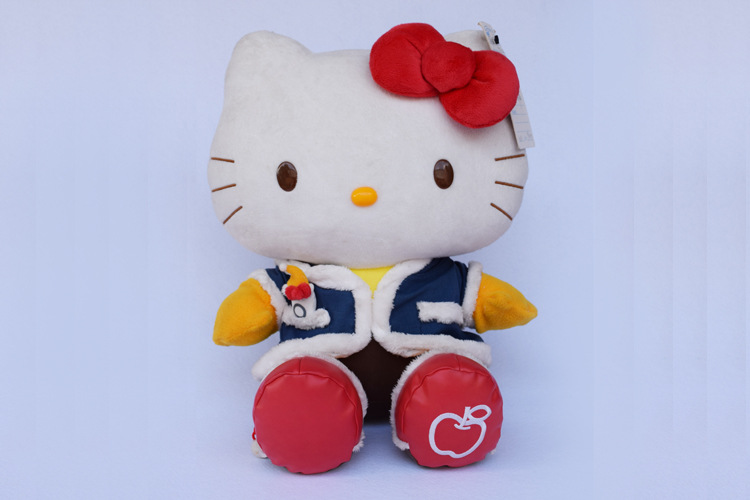 凯蒂猫毛绒玩具 hello kitty卡通公仔 kt猫咪玩.