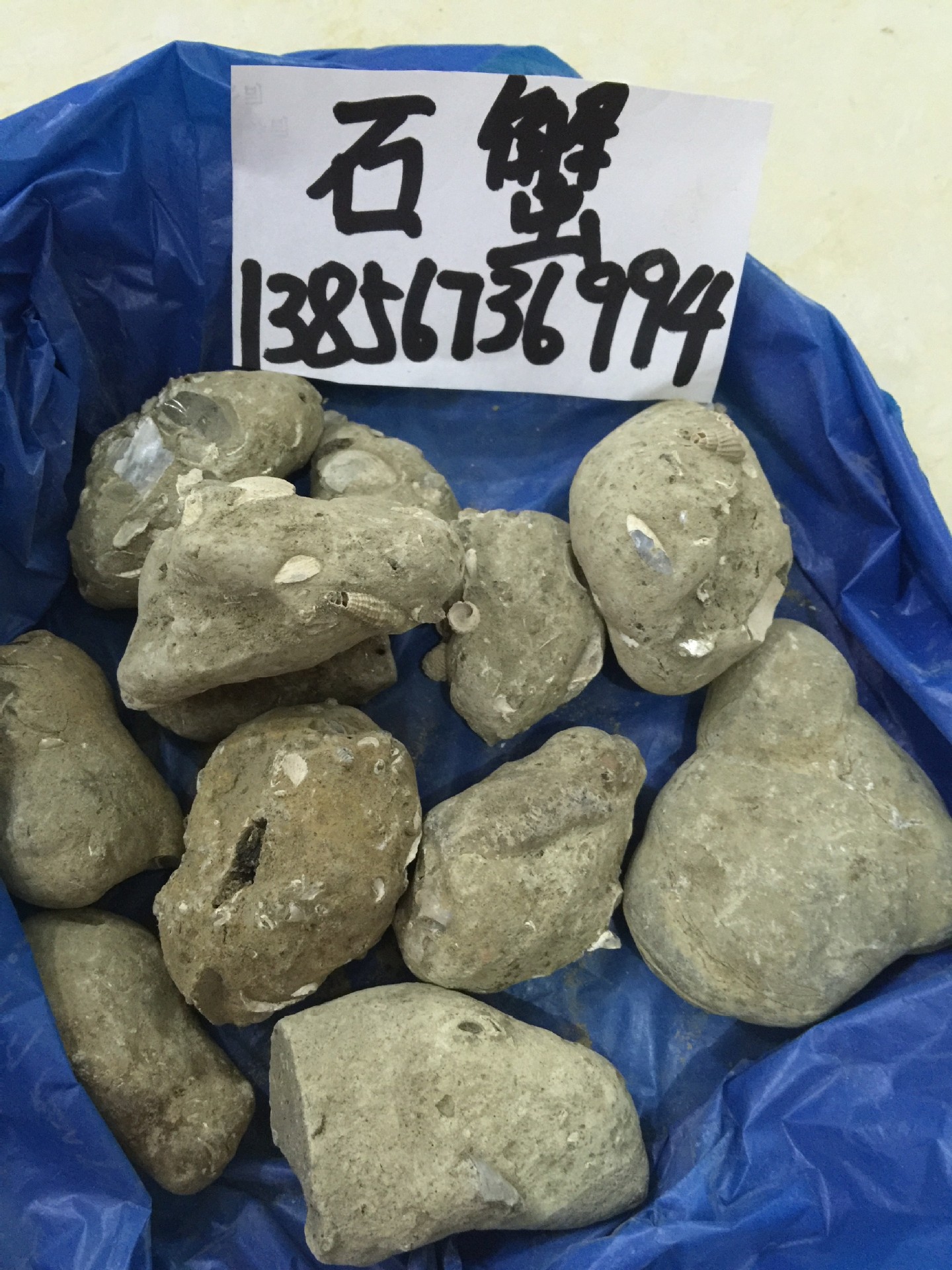 冷背中药材批发优质正品石蟹石螃蟹药店供货诚信经营