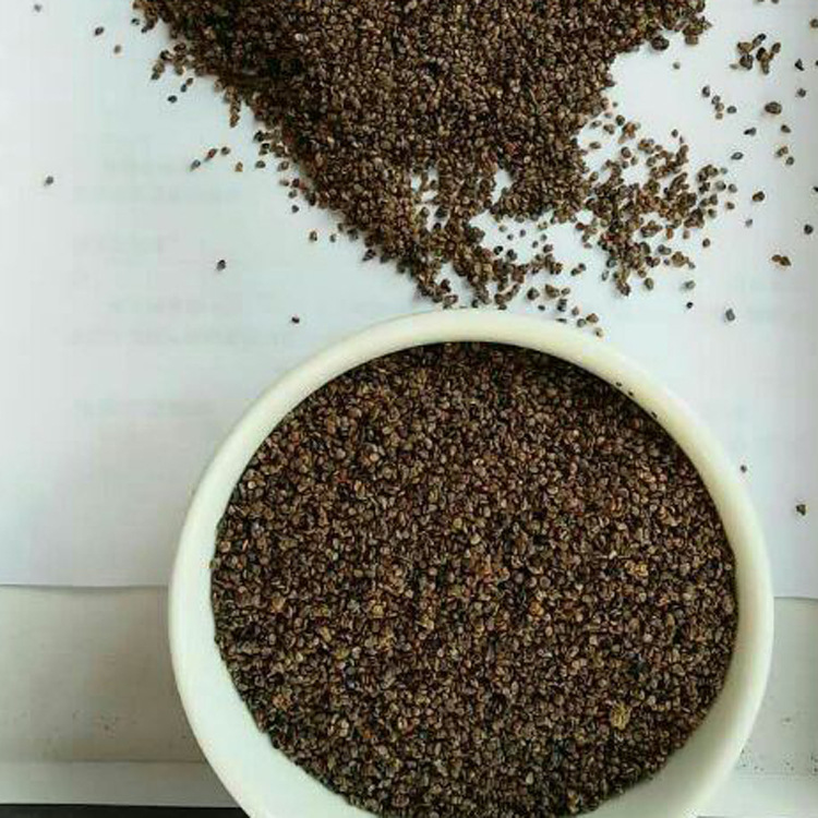 精选优质黑枸杞种子 枸杞子良种 补气益精 养生中药材 量大从优