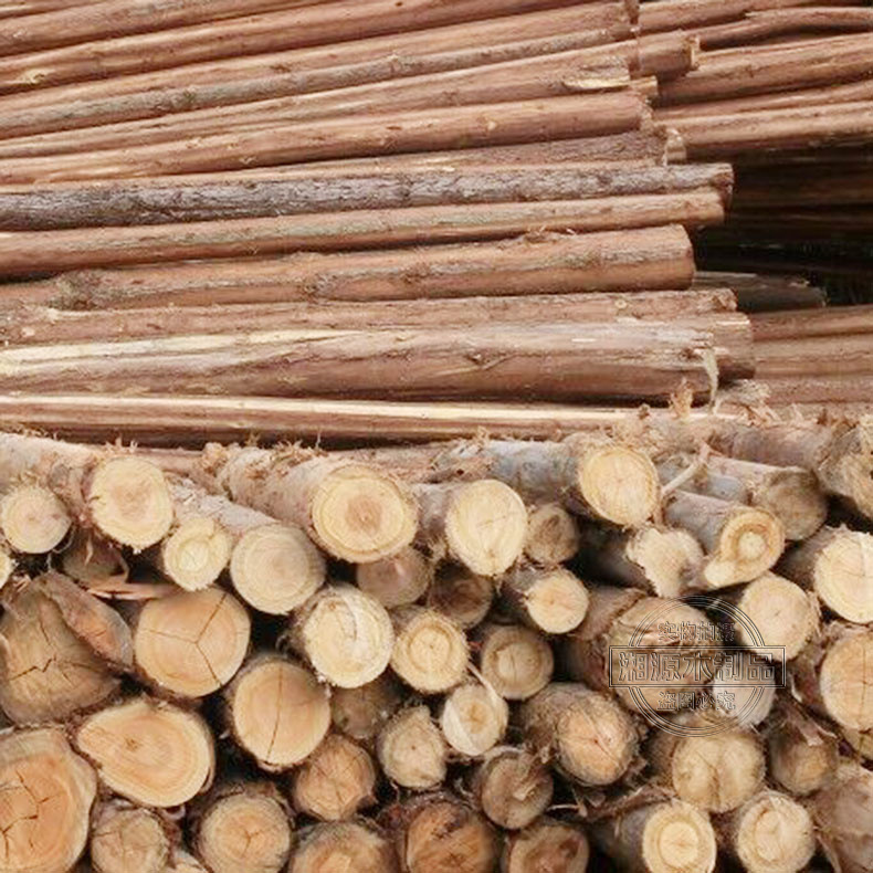 厂家批发直销 打桩原木圆木 大直径圆木工程圆木 各种规格圆木