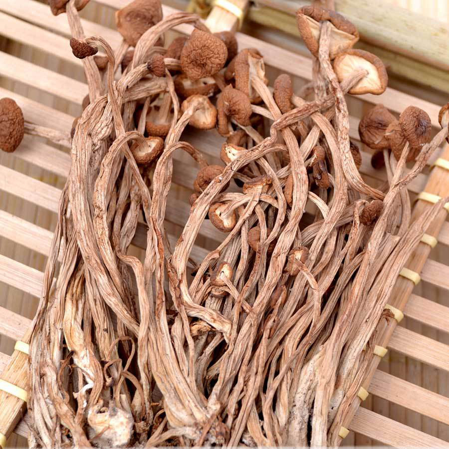 干货特产 厂家** 干茶树菇大批量批发3