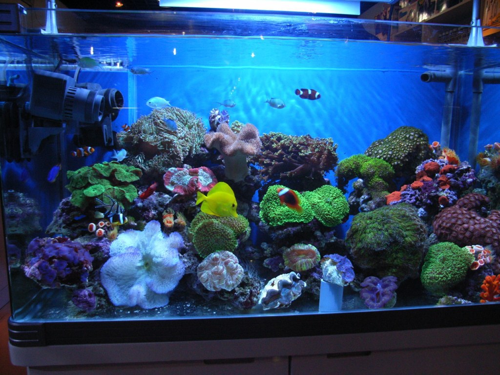 led鱼缸灯水族箱照明灯高亮水草灯水陆两用潜水灯白光水族灯