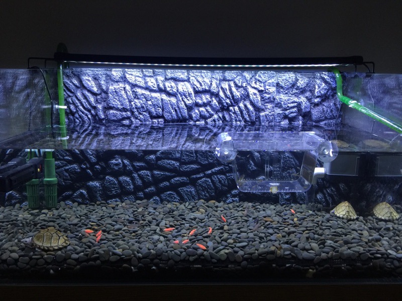 黑工砂 铁胆沙 石子 水族箱造景 鱼缸装饰 乌龟缸底砂 河沙包邮