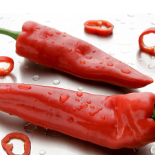 红美人椒_红美人椒价格_优质红美人椒批发\/采