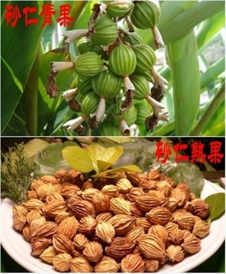 云南砂仁火锅底料串串卤肉料麻辣烫烧烤冒菜调味香料500g/袋