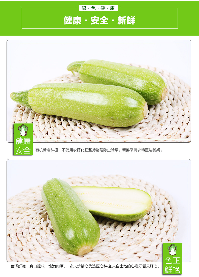 基地直供茭瓜新鲜西葫芦新鲜蔬菜洋南瓜熊瓜白瓜 餐厅超市直供