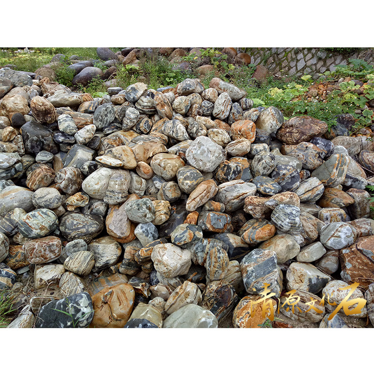 华安石规格 九龙壁批发厂家九龙壁奇石九龙壁景石大鹅卵石 雕刻石