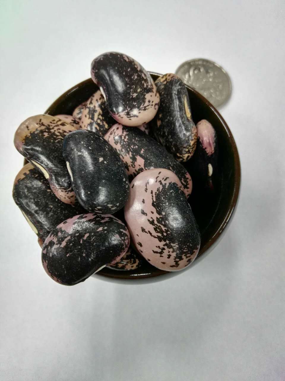 五谷杂粮原料健康磨坊 低温烘焙牛眼豆 低温烘焙五谷杂粮原料