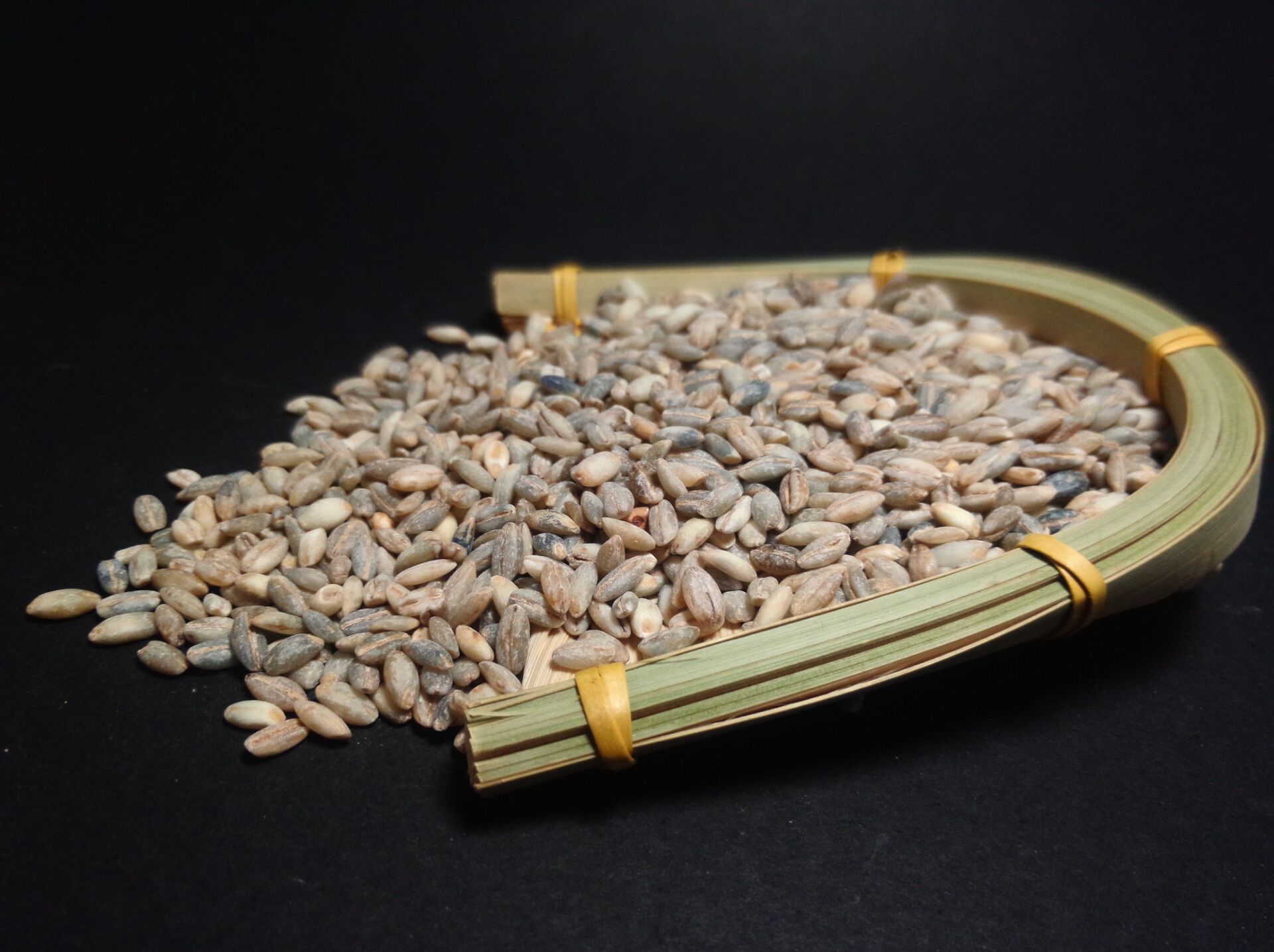 绿色优质青稞农产品健康无添加青稞批发