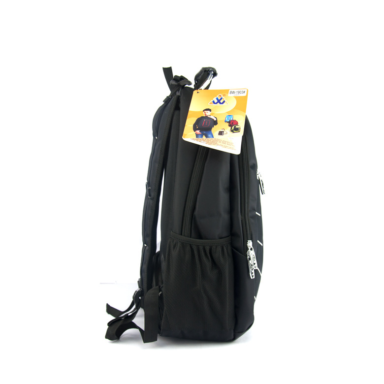 biaowang飙王飚王双肩包男士商务旅行15寸笔记本电脑包背包尼龙