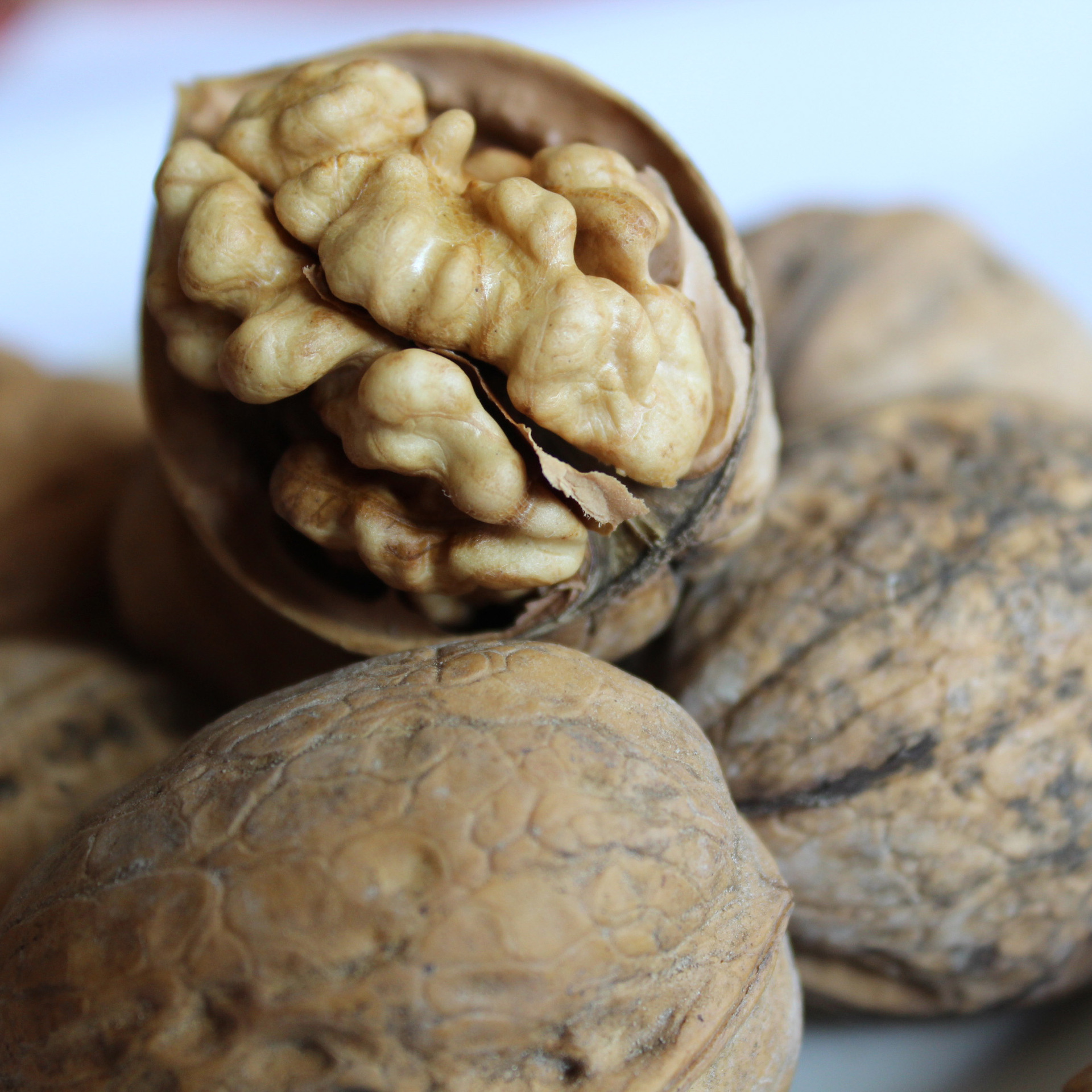 新疆阿克苏一级185纸皮核桃无水洗无漂白自然晒干孕妇级生核桃