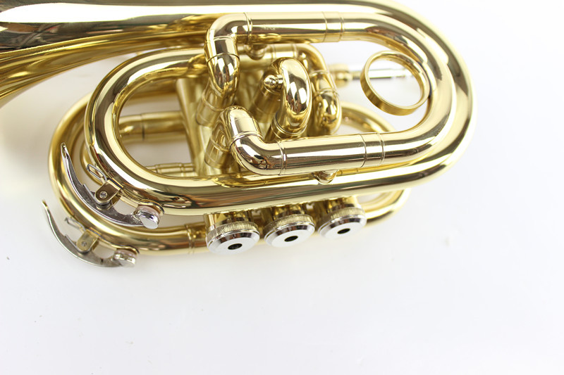 初学西洋吹奏乐器 降b号袖珍金色手掌号乐器厂家批发袖珍号