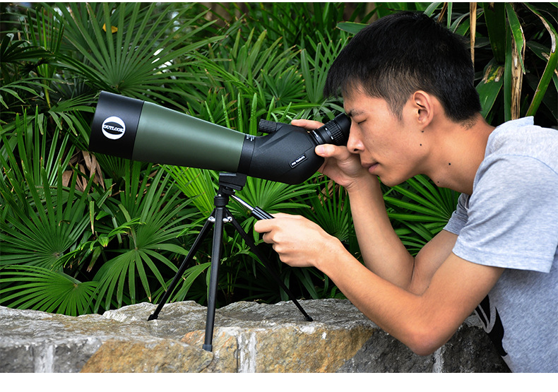 观鸟镜单筒高倍望远镜变倍高清高倍望远镜高清户外望远观鸟镜