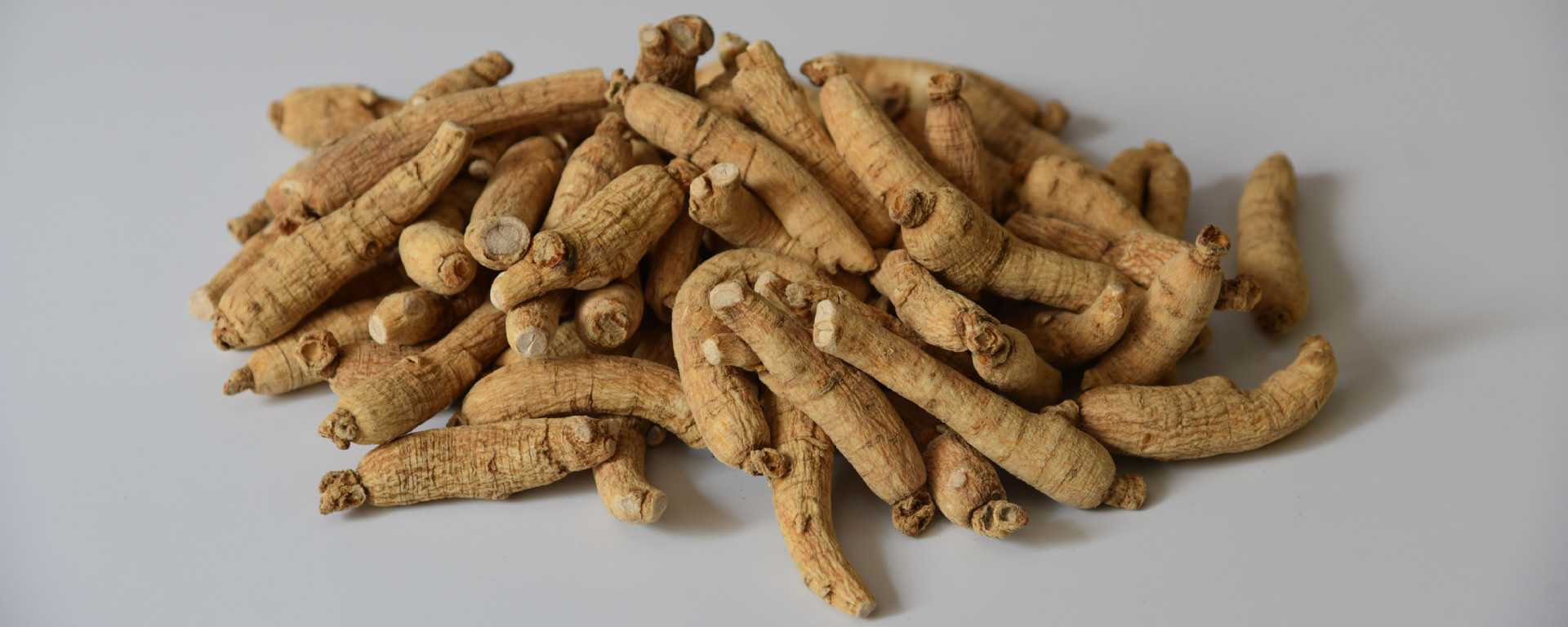 东北产地5年生吉林长白山特产散装花旗参包邮批发西洋参