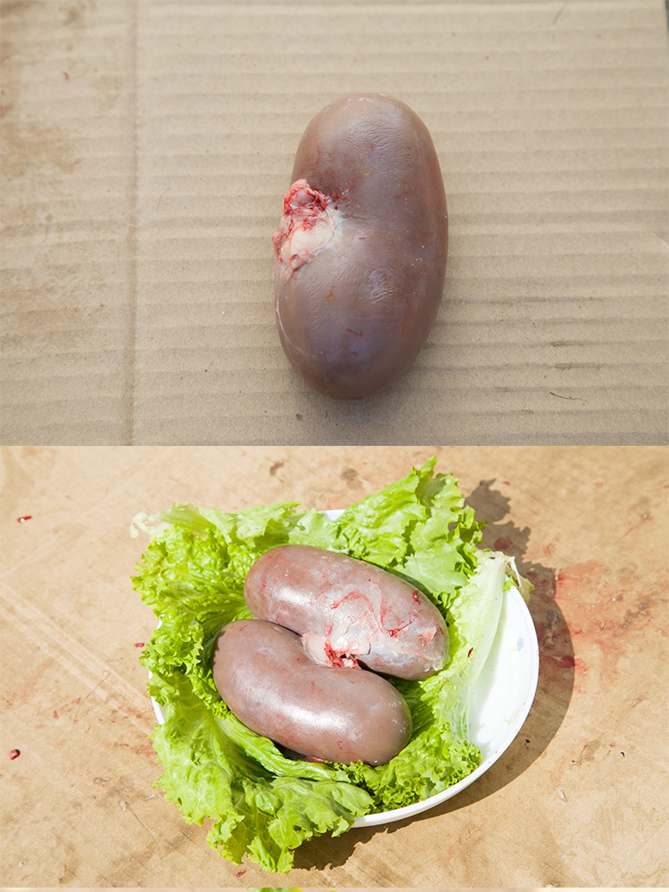 供应东北特产温补佳品新鲜鹿腰子鲜鹿肾 鹿场产地直销批发