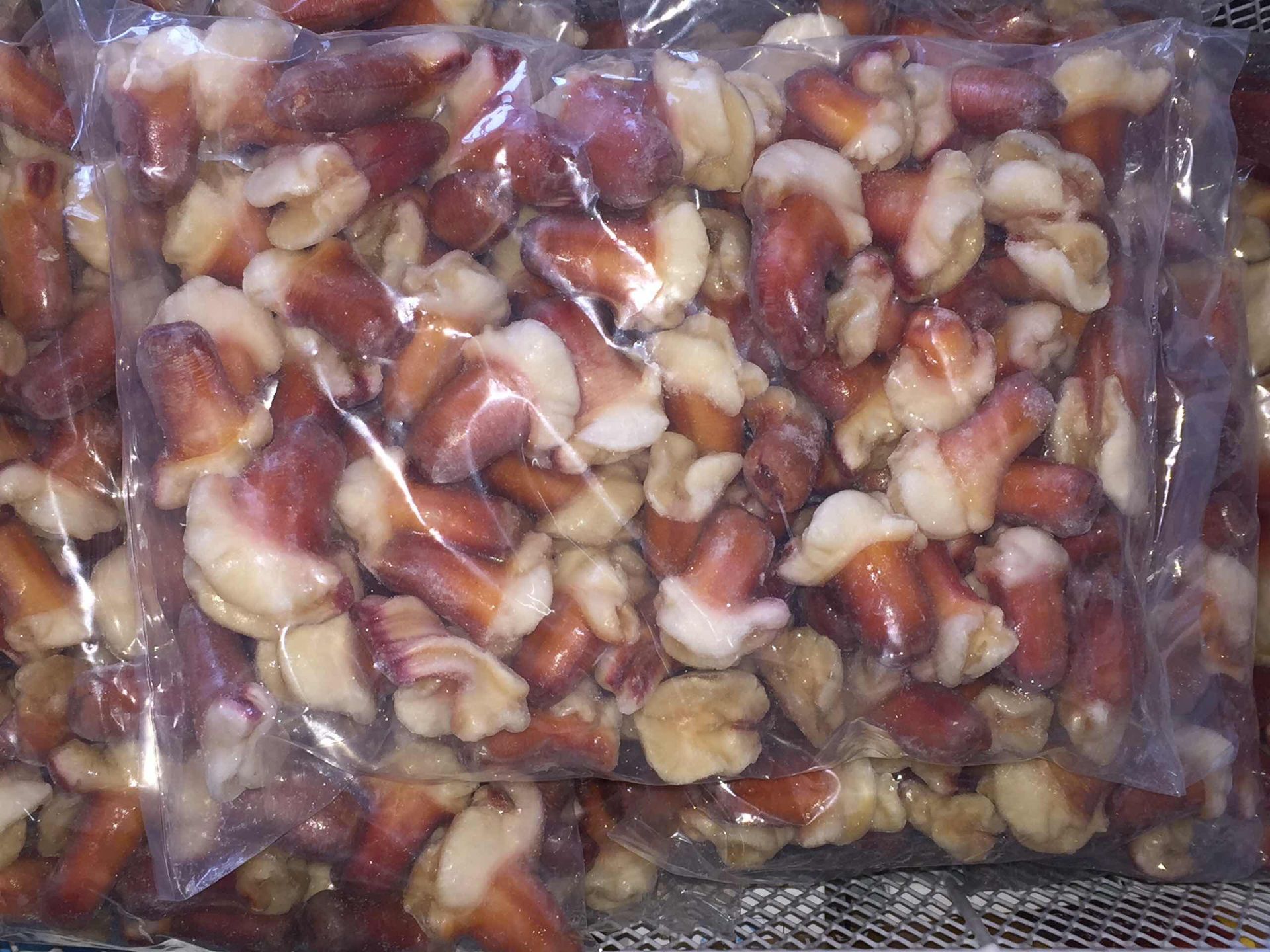 长期批发兰花蚌 北极贝嘴 1kg装 高端自助餐酒店专供